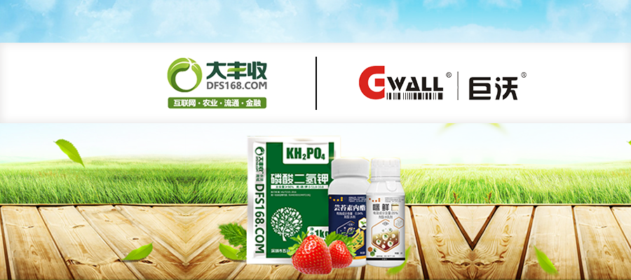 大豐收攜手巨沃科技，打造智慧高效農(nóng)資供應(yīng)鏈體系